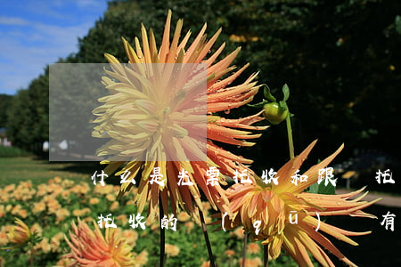 什么是光票托收和跟單托收,光票托收和跟單托收的區(qū)別有哪些
