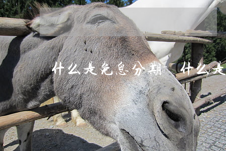 什么是免息分期-什么是免息分期貸款