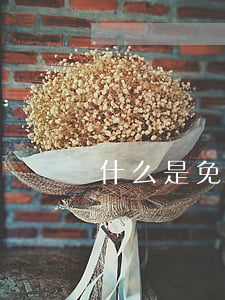 什么是免責條件