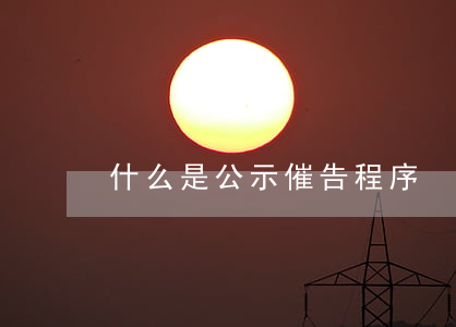 什么是公示催告程序