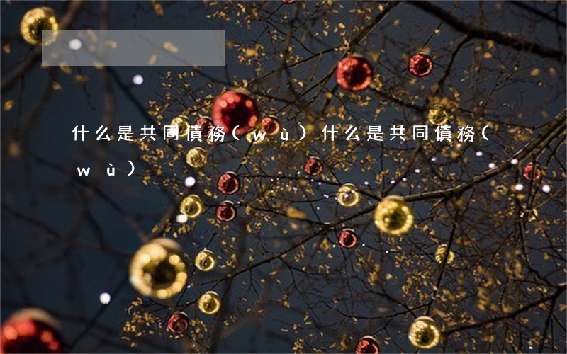 什么是共同債務(wù)（什么是共同債務(wù)）