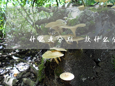 什么是分期貸款 什么分期貸款好下款