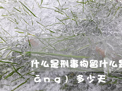 什么是刑事拘留(什么是刑事拘留,最長(zhǎng)多少天)