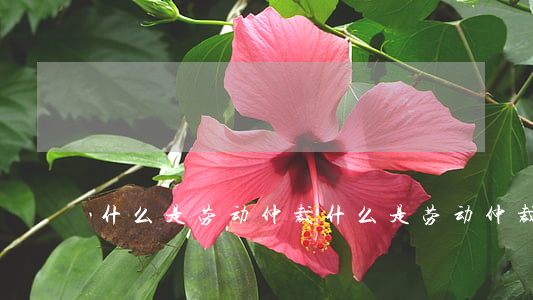 什么是劳动仲裁(什么是劳动仲裁委员会)