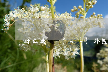 什么是勞務(wù)外包