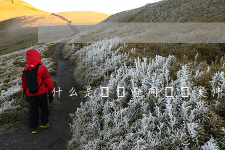 什么是勞務合同糾紛案件