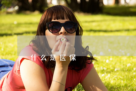 什么是医保