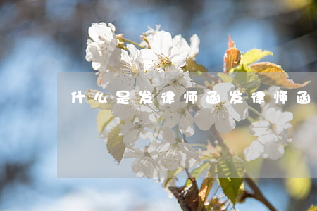 什么是发律师函(发律师函需要什么手续)