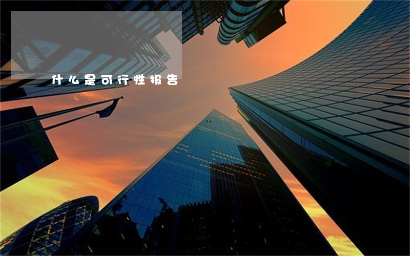 什么是可行性报告