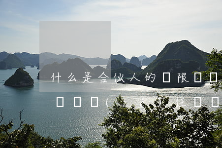 什么是合伙人的無限連帶責(zé)任（無限連帶責(zé)任與無限責(zé)任的區(qū)別）