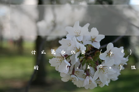 什么是合伙企業(yè),合伙企業(yè)的財產(chǎn)性質(zhì)是怎樣的