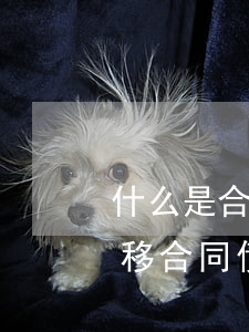 什么是合同債務(wù)轉(zhuǎn)移,合同債務(wù)轉(zhuǎn)移需要哪些條件