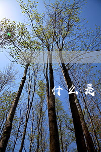 什么是合同糾紛執(zhí)行