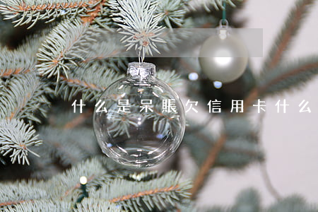 什么是呆賬欠信用卡(什么是呆賬欠信用卡)