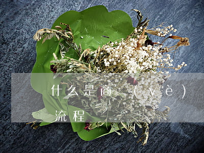 什么是商業(yè)訴訟(商業(yè)起訴流程)