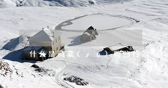 什么是商業(yè)賄賂行為