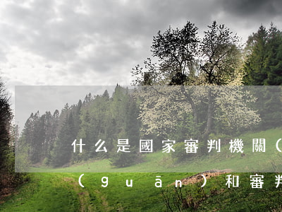 什么是國家審判機關(guān)（司法機關(guān)和審判機關(guān)是什么關(guān)系）