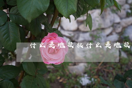什么是地役权(什么是地役权举例)