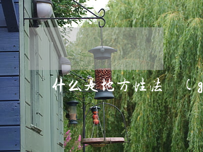 什么是地方性法規(guī)