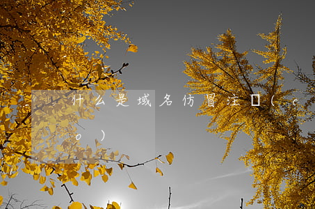 什么是域名仿冒注冊(cè)商標(biāo)