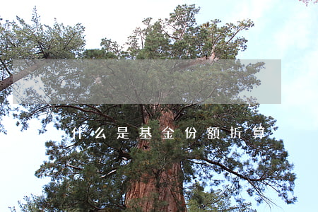 什么是基金份額折算