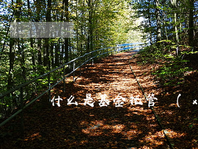 什么是基金托管協(xié)議