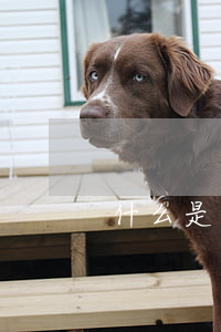 什么是基金申購(什么是基金申購)