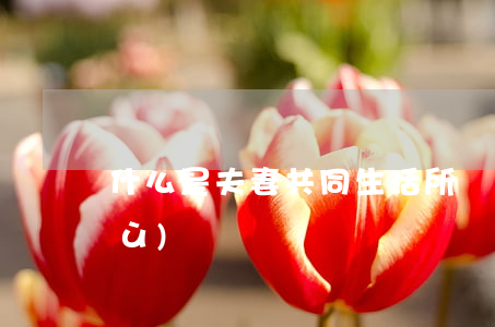 什么是夫妻共同生活所負(fù)債務(wù)