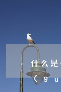 什么是失信人員信用卡逾期算是失信人嗎（關(guān)于信用卡逾期被判罰失信可能性）
