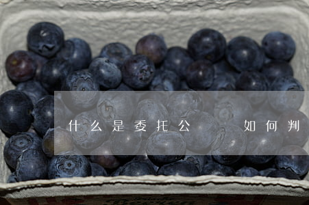 什么是委托公證書,如何判斷委托公證書造假