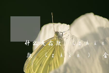 什么是存款準(zhǔn)備金率(什么是存款準(zhǔn)備金率和備付金率)
