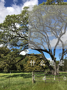 什么是宏觀調(diào)控(什么是宏觀調(diào)控國家宏觀調(diào)控的手段有哪些)