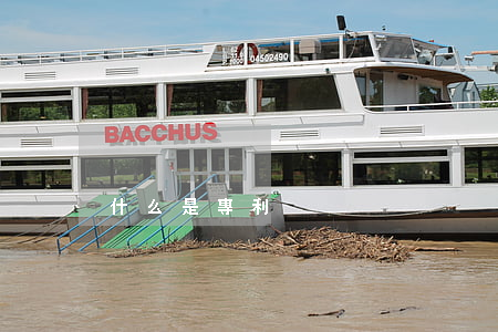 什么是專利