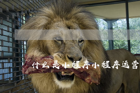 什么是小程序(小程序运营)