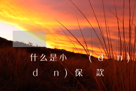 什么是小額擔(dān)保貸款(什么是擔(dān)保貸款?)