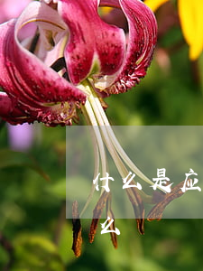 什么是应收票据的转让,票据转让需要注意什么