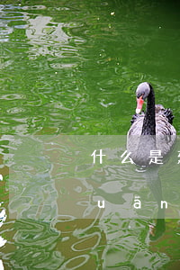 什么是建筑工程監(jiān)理相關(guān)內(nèi)容有哪些（監(jiān)理工作內(nèi)容）