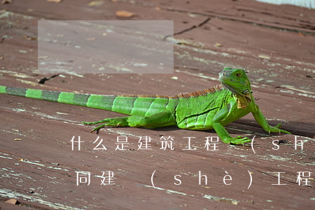 什么是建筑工程設(shè)計(jì)合同（建設(shè)工程合同糾紛管轄法院）