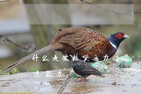 什么是微粒贷无力偿还-微粒贷无能力偿还怎么办