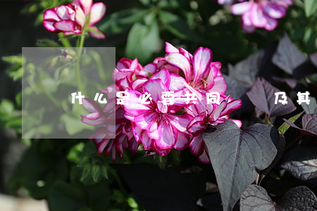 什么是必要共同訴訟及其類型