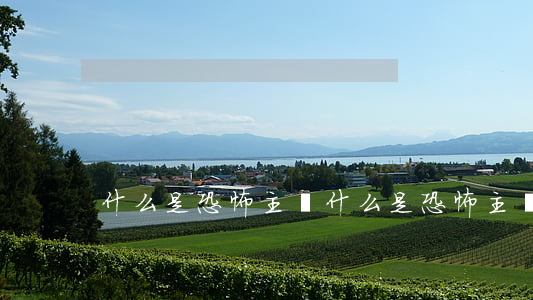 什么是恐怖主義(什么是恐怖主義組織)
