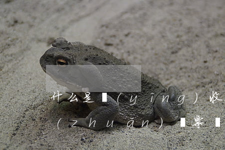 什么是應(yīng)收票據(jù)的轉(zhuǎn)讓,票據(jù)轉(zhuǎn)讓需要注意什么
