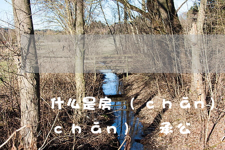 什么是房產(chǎn)繼承(什么是房產(chǎn)繼承公證)