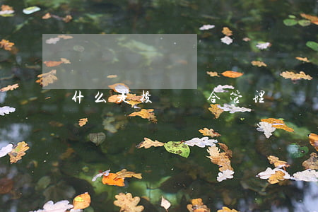 什么是投資組合管理