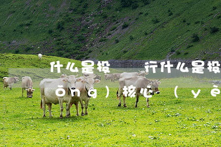 什么是投資銀行(什么是投資銀行的傳統(tǒng)核心業(yè)務(wù))