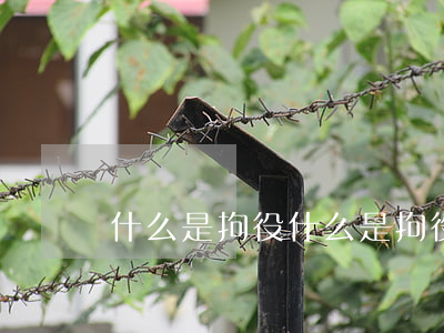 什么是拘役(什么是拘役刑罰)