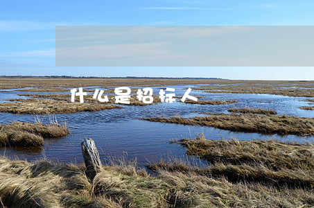 什么是招标人