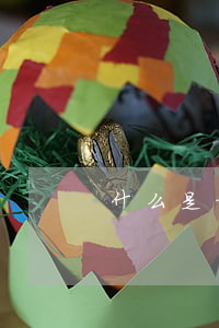 什么是招標(biāo)人