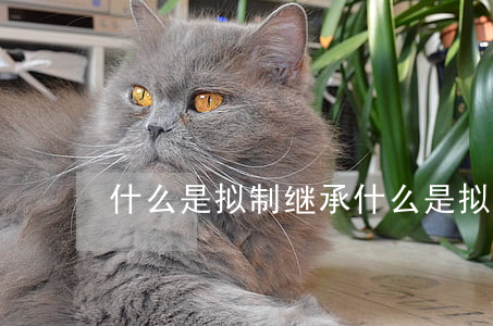 什么是拟制继承(什么是拟制继承)