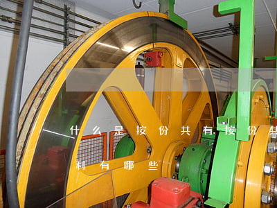 什么是按份共有，按份共有的權(quán)利有哪些